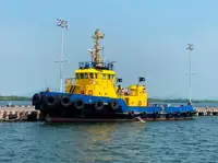 Vilkikas Parduodama