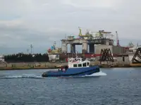 Vilktukas parduodamas
