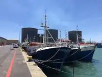 Longliner Parduodama