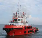 Vilkikas Parduodama