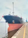 Birių krovinių laivas Parduodama