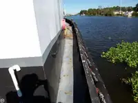Vilktukas parduodamas