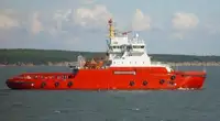 Vilkikas Parduodama