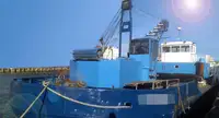 Dregirė parduodamas