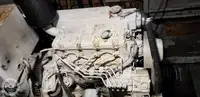Katamaranas parduodamas