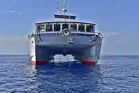Vilktukas parduodamas
