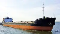 Birių krovinių laivas Parduodama