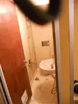 Vilktukas parduodamas