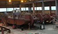 Vilktukas parduodamas