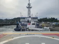 Vilktukas parduodamas