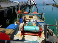 Trawler Parduodama