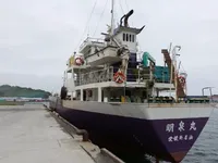 General Cargo/Multi-purpose parduodamas