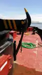 Vilktukas parduodamas