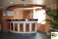 Ro-Ro ship Parduodama