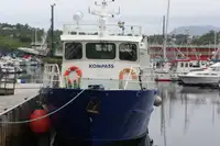 Vilktukas parduodamas