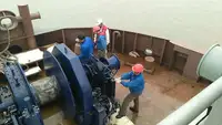 Vilktukas parduodamas