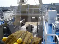 Gyvų žuvų pervežimo laivas parduodamas