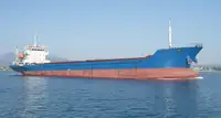 Birių krovinių laivas Parduodama