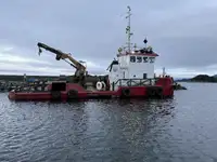 Vilktukas parduodamas
