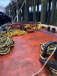 Vilktukas parduodamas