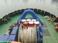 Vilktukas parduodamas