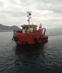 Vilktukas parduodamas