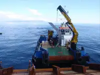 Vilktukas parduodamas