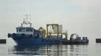 Vilkikas Parduodama