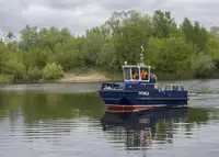 Vilktukas parduodamas