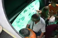 Keleivinis laivas parduodamas