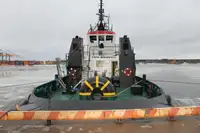 Vilkikas Parduodama
