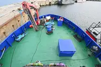 Vilktukas parduodamas