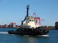 Vilkikas Parduodama