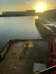 Vilktukas parduodamas