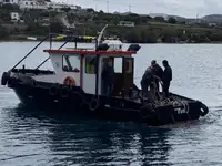 Vilkikas Parduodama
