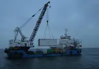 Vilktukas parduodamas