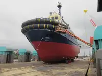 Vilktukas parduodamas