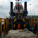 Vilktukas parduodamas
