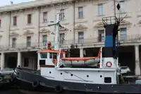 Vilktukas parduodamas