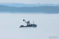 Žiedinis traleris parduodamas