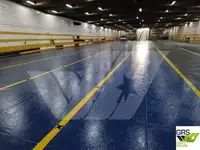 Ro-Ro ship Parduodama