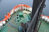 Vilktukas parduodamas