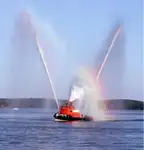 Vilktukas parduodamas