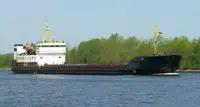 Birių krovinių laivas Parduodama