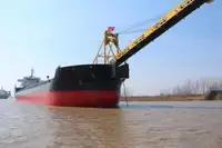 Birių krovinių laivas Parduodama