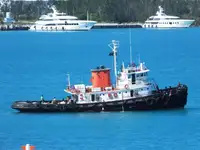 Vilkikas Parduodama