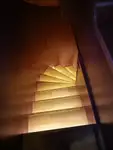 Vilktukas parduodamas