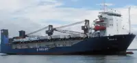 Birių krovinių laivas Parduodama