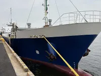General Cargo/Multi-purpose parduodamas