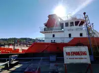 Vilktukas parduodamas